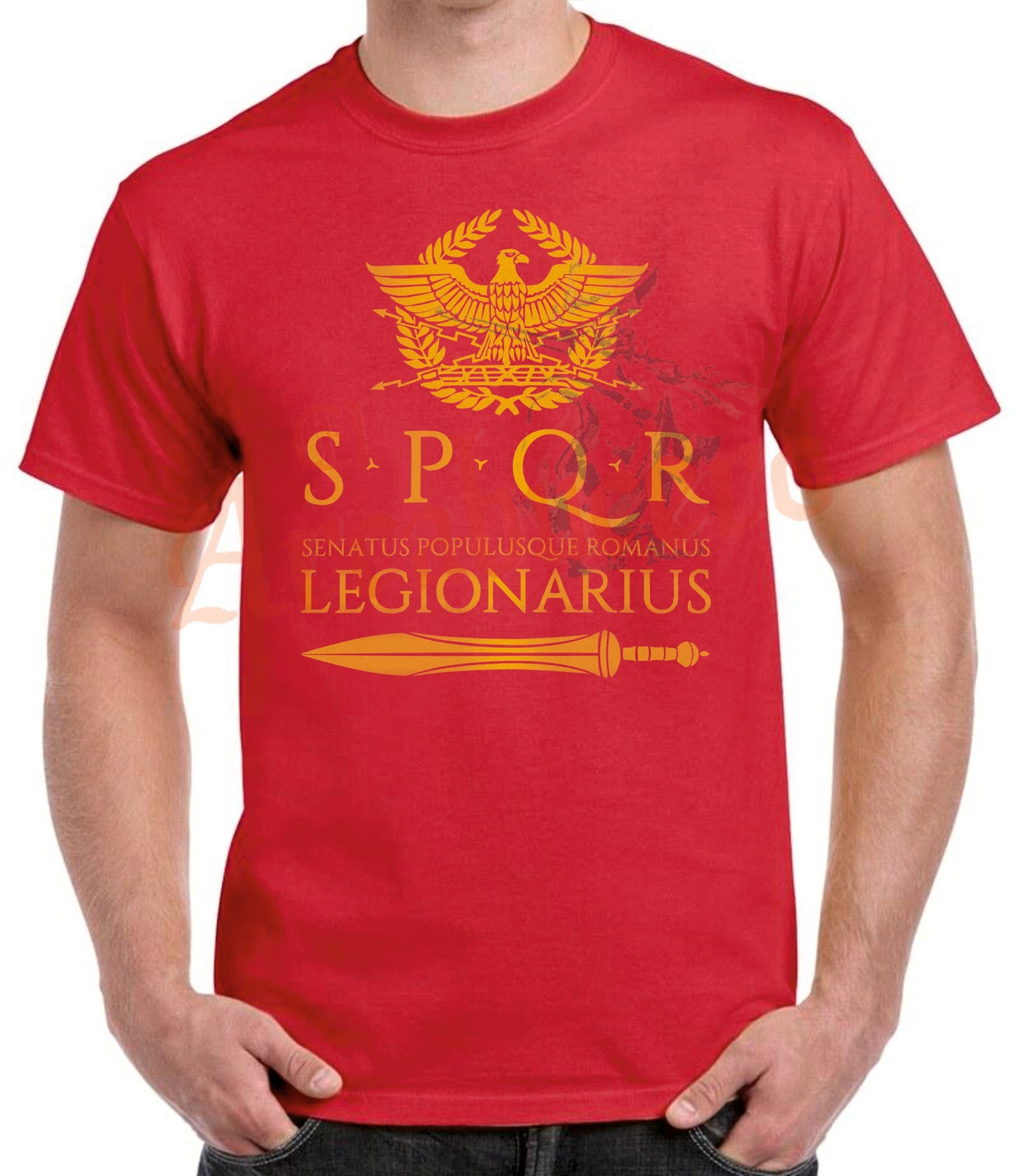 Camiseta SPQR Legionarius y gladius.
