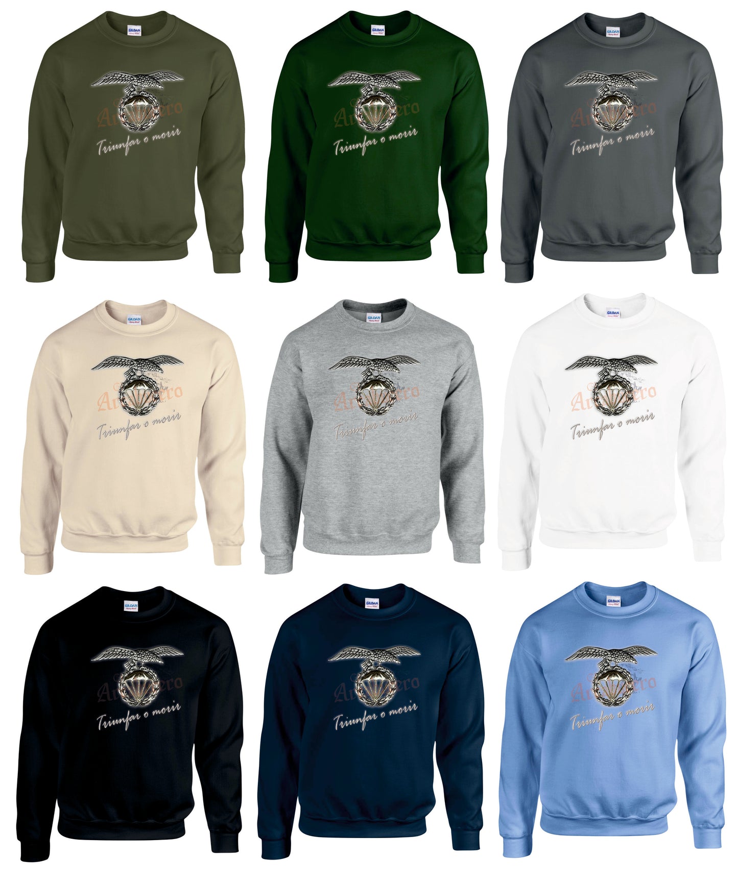 Sudadera básica BRIPAC "Triunfar o morir".