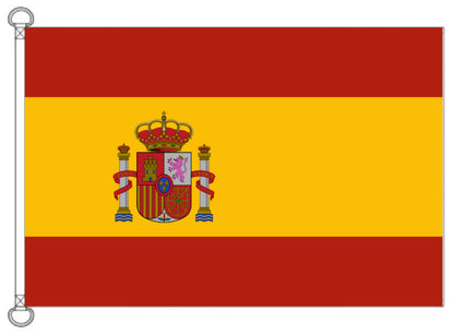 Bandera de España (desde 1981).