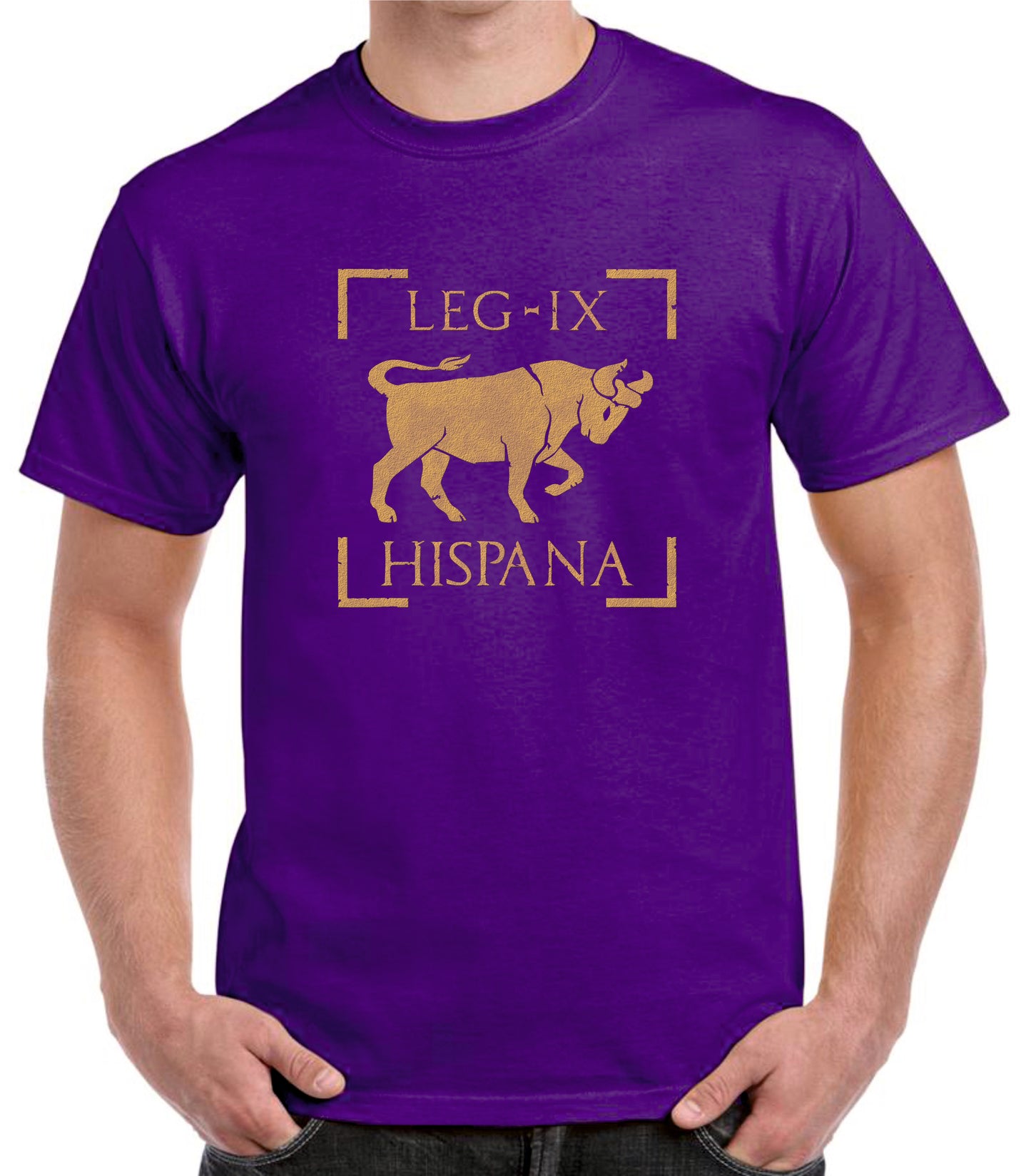 Camiseta ROMA Legión IX Hispana estandarte.